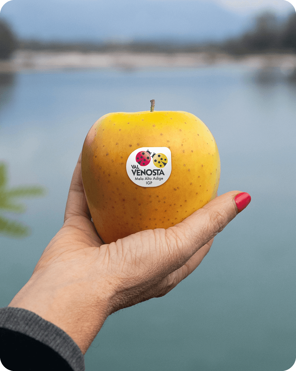 Cooee_CS_VV_Applepairing3_Gallery12