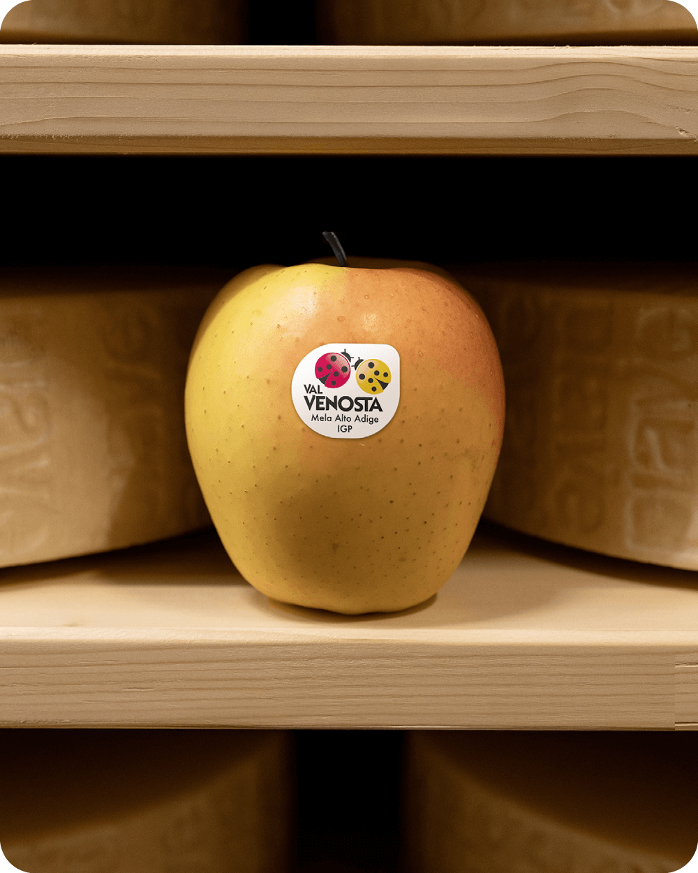 Cooee_CS_VV_Applepairing3_Gallery13